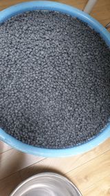 팜모닝 · 게시글 이미지