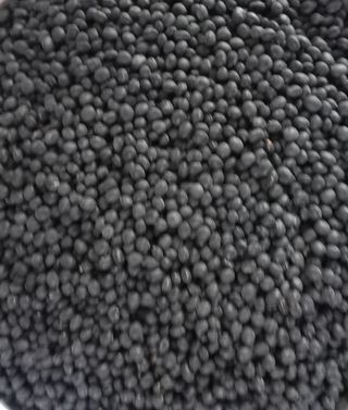 김종익님의 콩 · 자유게시판 작성글 사진