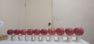 월악산남제천사과님의 사과 · 시세•판로 작성글 사진