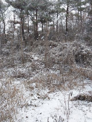 김봉호님의 기타작물 · 자유게시판 작성글 사진