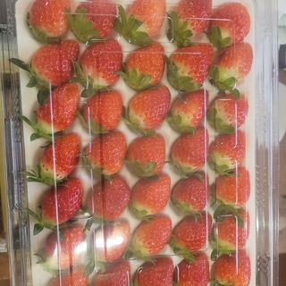 강미향님의 작성글 사진