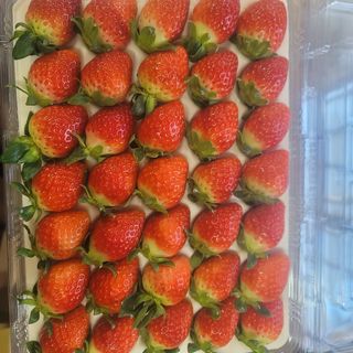 강미향님의 작성글 사진