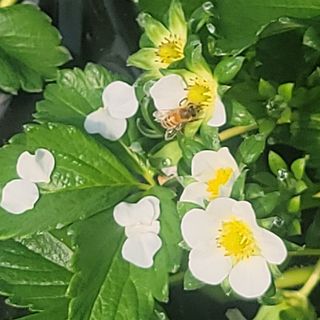 강미향님의 작성글 사진