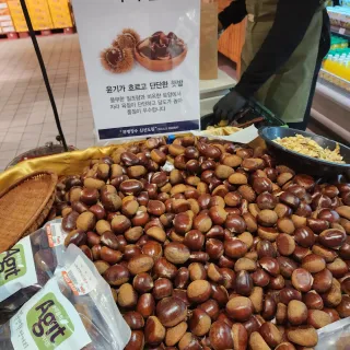 농부들의아지트님의 기타작물 · 자유게시판 작성글 사진