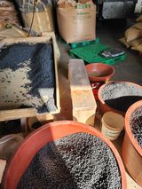 팜모닝 콩·자유게시판 게시글 이미지