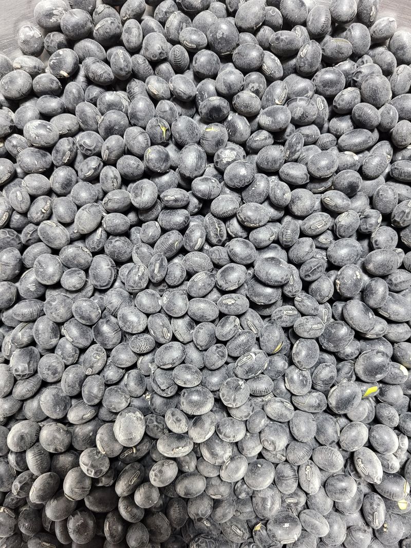 이용기 님의 장터 판매 상품 [속청 서리태 1kg 9000원] 첨부 사진