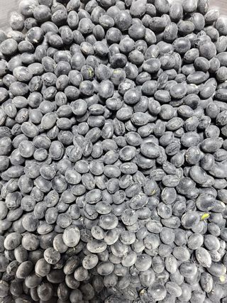 이용기 님의 작성글 사진