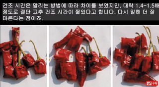 알 수 없음님의 고추 · 병해충상담 작성글 사진
