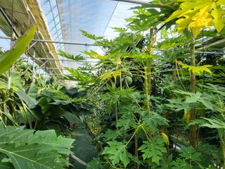 봄봄농장님의 작성글 사진