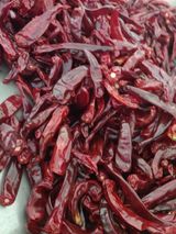 팜모닝 · 게시글 이미지