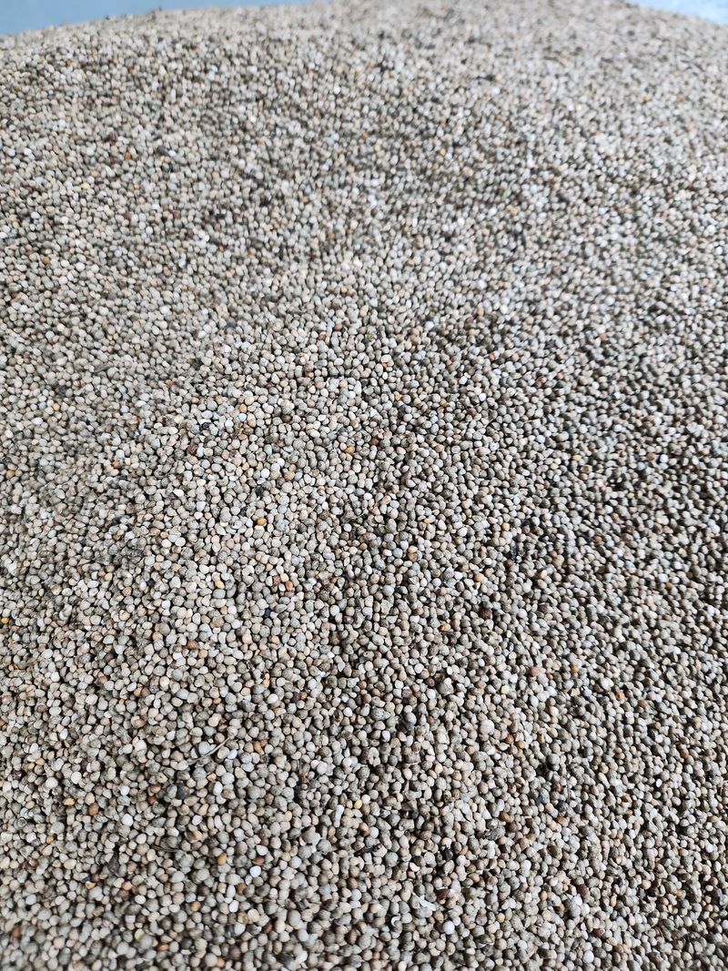 장터 상품 [들개1kg13000 직접 농사합니다] 썸네일