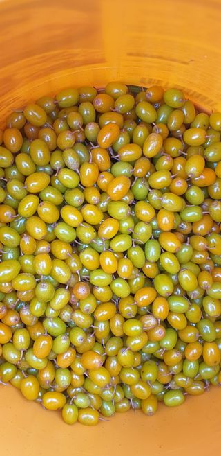 윤상국님의 작성글 사진