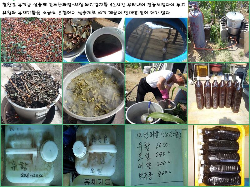 김병구님의 장터 판매 상품 [구기자분말 300g] 첨부 사진