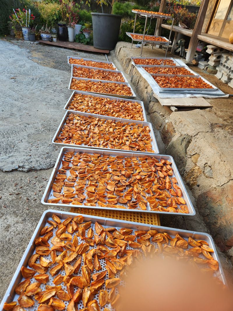 대봉감 단감 고구마님의 장터 판매 상품 [대봉감곶감] 첨부 사진