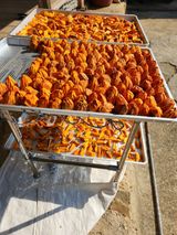 팜모닝 · 게시글 이미지