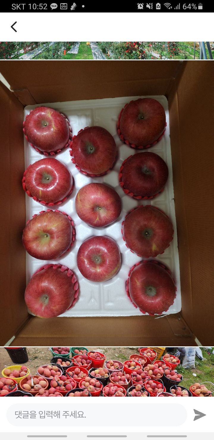 조순자님의 장터 판매 상품 [청송 부사 사과 5kg/10kg 서리태 ] 첨부 사진