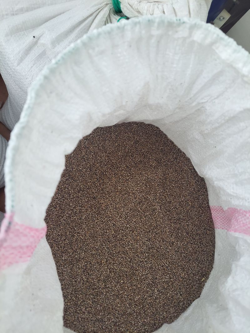 장터 상품 [들깨  6kg] 썸네일