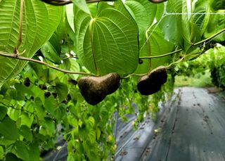 김순곤님의 작성글 사진