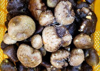 김순곤님의 기타작물 · 자유게시판 작성글 사진