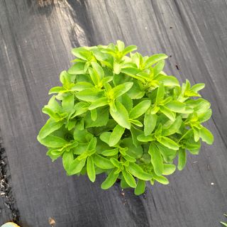 김순곤님의 기타작물 · 자유게시판 작성글 사진