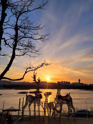 홍촌님의 감 · 자유게시판 작성글 사진