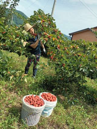 이영숙님의 작성글 사진