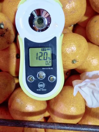 행복한농부를꿈꾸며님의 귤 · 수확 작성글 사진