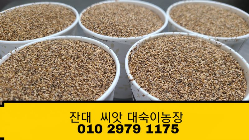 장터 상품 [잔대씨앗 판매] 썸네일