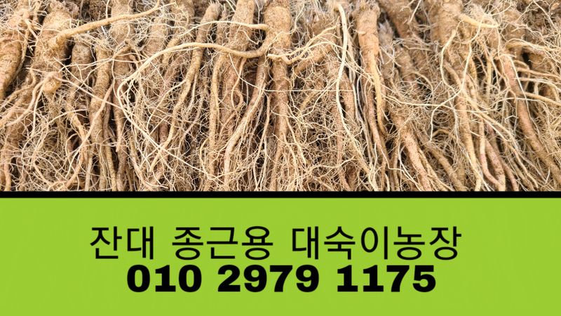 조병대님의 장터 판매 상품 [잔대씨앗 판매] 첨부 사진