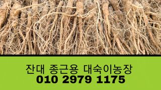 조병대님의 작성글 사진