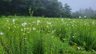 조병대님의 작성글 사진