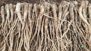 조병대님의 작성글 사진