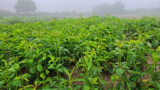 조병대님의 작성글 사진