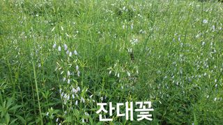 조병대님의 작성글 사진