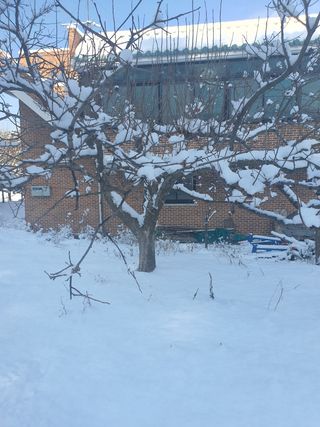 엘림농장님의 기타작물 · 자유게시판 작성글 사진