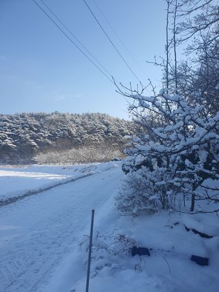 엘림농장님의 기타작물 · 자유게시판 작성글 사진