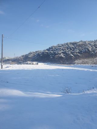 엘림농장님의 기타작물 · 자유게시판 작성글 사진