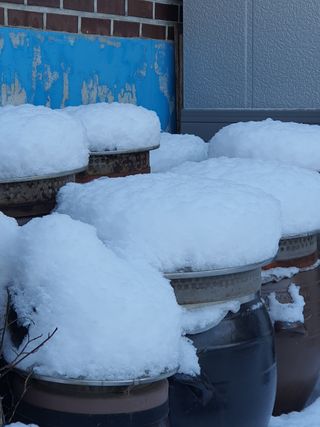 엘림농장님의 기타작물 · 자유게시판 작성글 사진