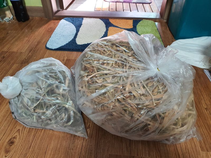 장터 상품 [국산 건 토란대 1kg] 썸네일