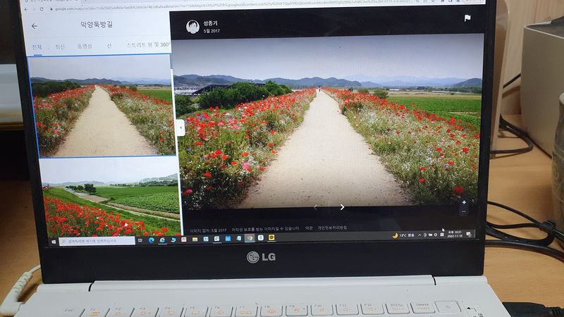 유창남님의 장터 판매 상품 [설향딸기산지직송1키로(500g*2팩)] 첨부 사진