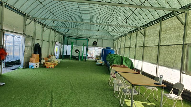 유창남님의 장터 판매 상품 [설향딸기산지직송1키로(500g*2팩)] 첨부 사진