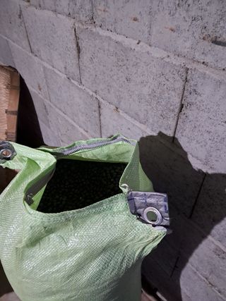 김명수님의 콩 · 자유게시판 작성글 사진