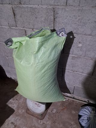 김명수님의 콩 · 자유게시판 작성글 사진