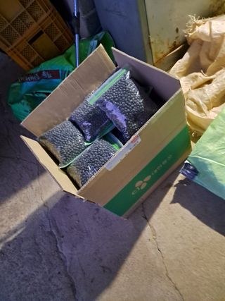 김명수님의 콩 · 자유게시판 작성글 사진