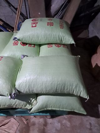 김명수님의 콩 · 자유게시판 작성글 사진