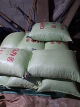 팜모닝 콩·자유게시판 게시글 이미지