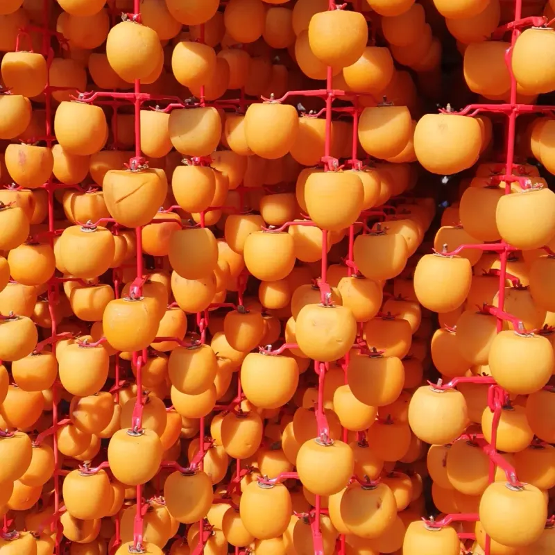 임병로님의 장터 판매 상품 [상주곶감 저렴하게 판매합니다.] 첨부 사진