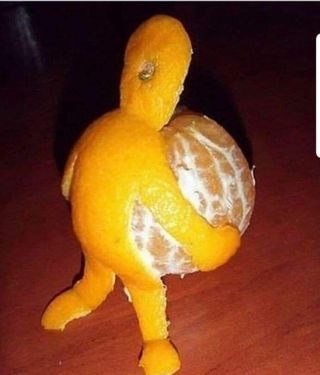 한라봉님의 작성글 사진