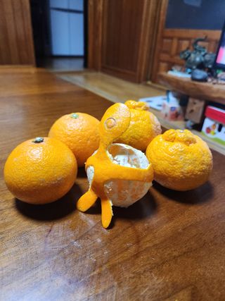 한라봉님의 작성글 사진