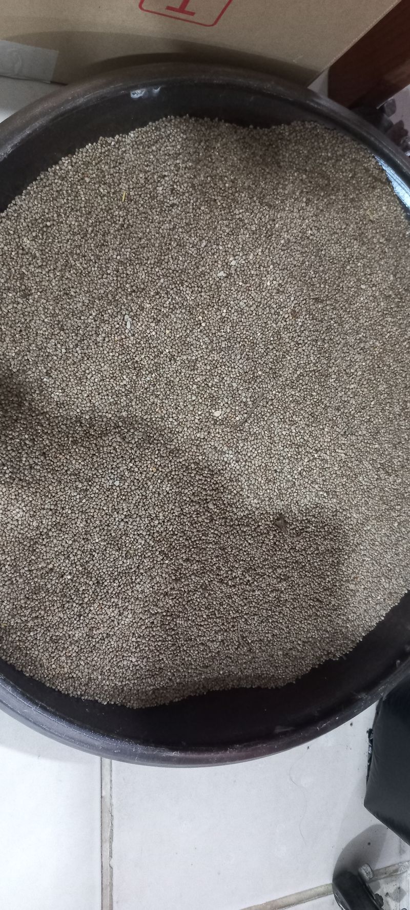 장터 상품 [들깨 들기름] 썸네일